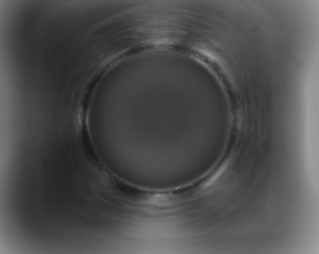 X0000088851161200706151712