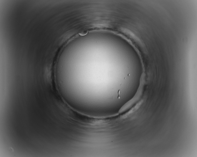 X0000088851162200706151712