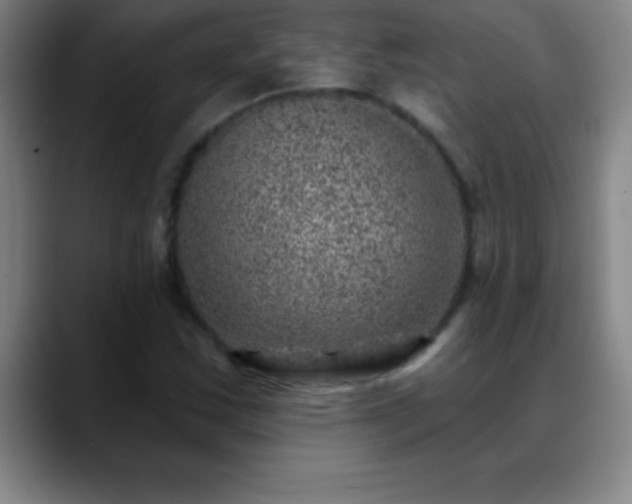 X0000088851163200706151712