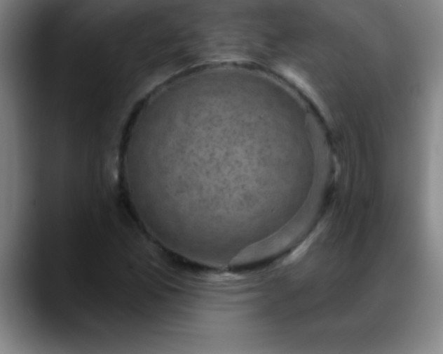 X0000088851165200706151712