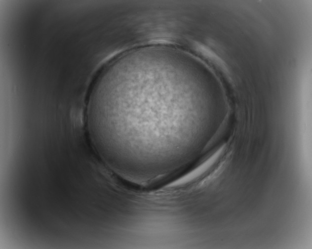 X0000088851166200706151712