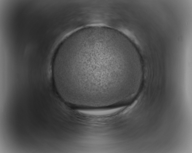 X0000088851167200706151712