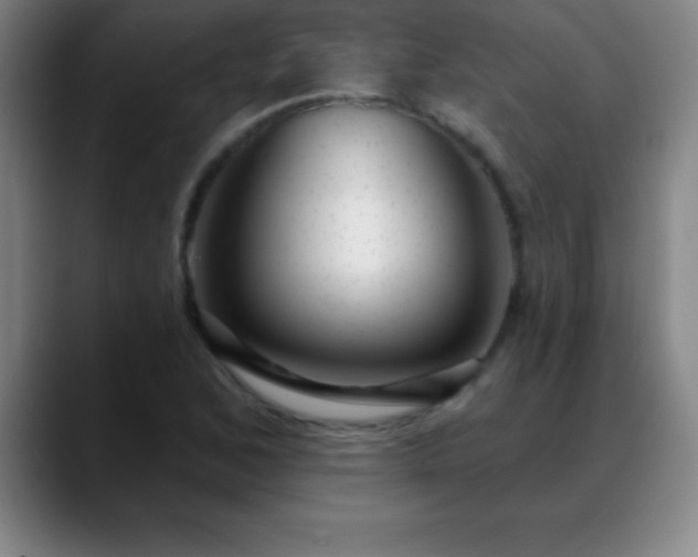 X0000088851168200706151712