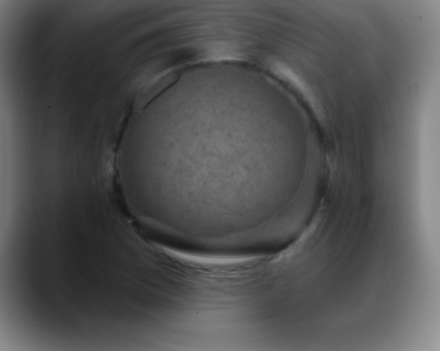 X0000088851169200706151712
