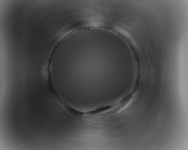 X0000088851170200706151712