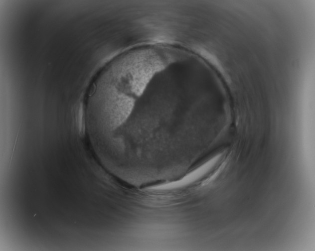 X0000088851171200706151712