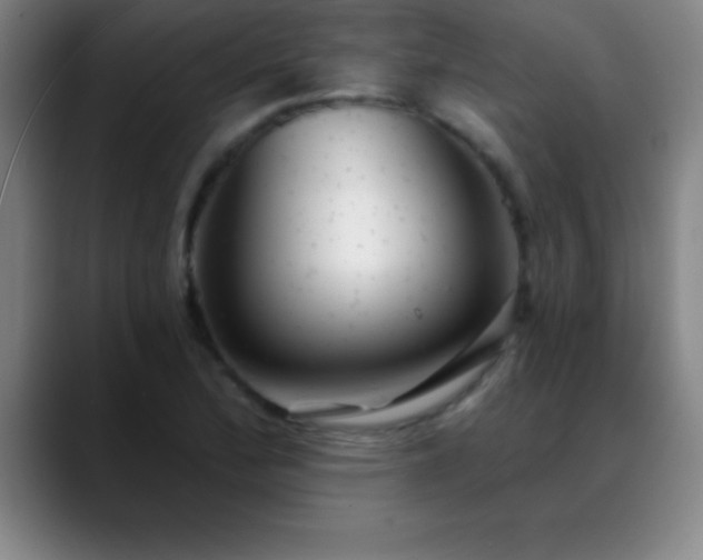 X0000088851172200706151712