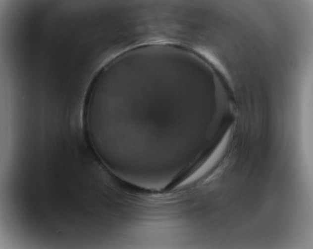 X0000088851173200706151712