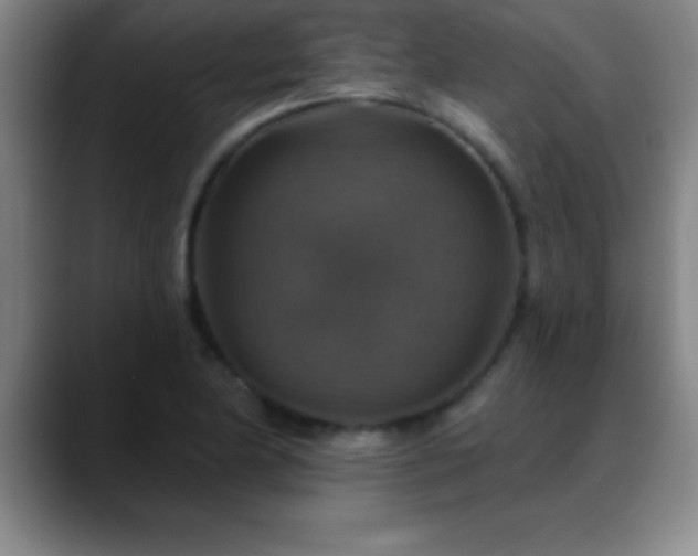 X0000088851174200706151712