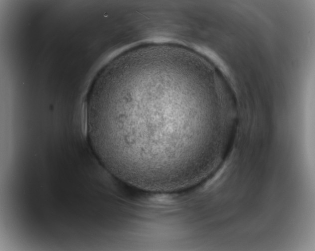 X0000088851175200706151712