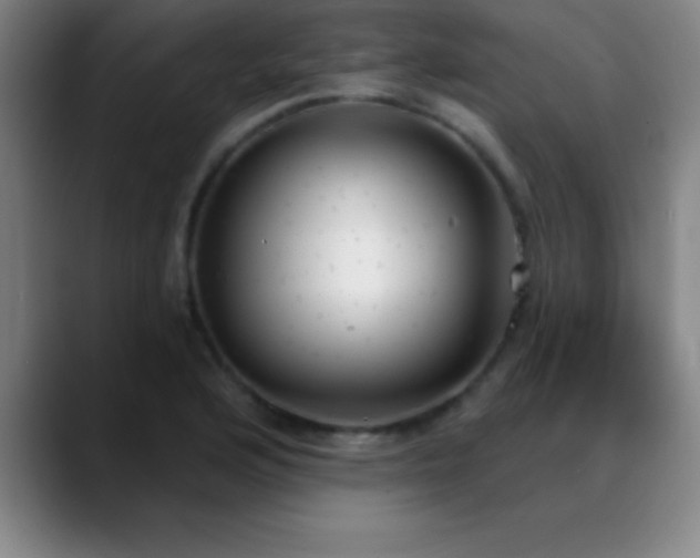X0000088851176200706151712
