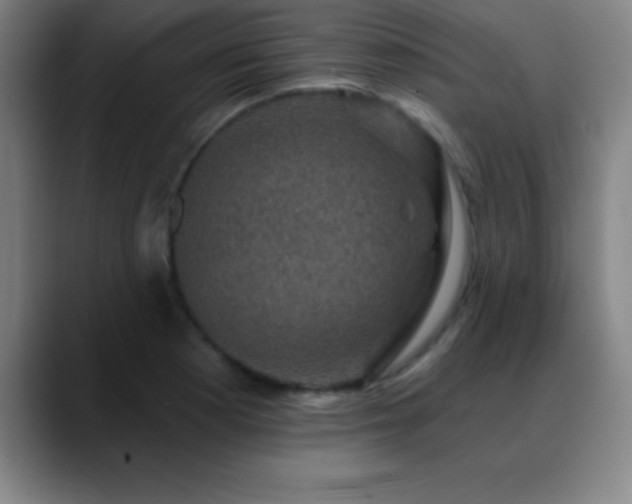 X0000088851177200706151712