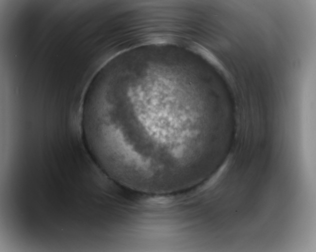 X0000088851178200706151712