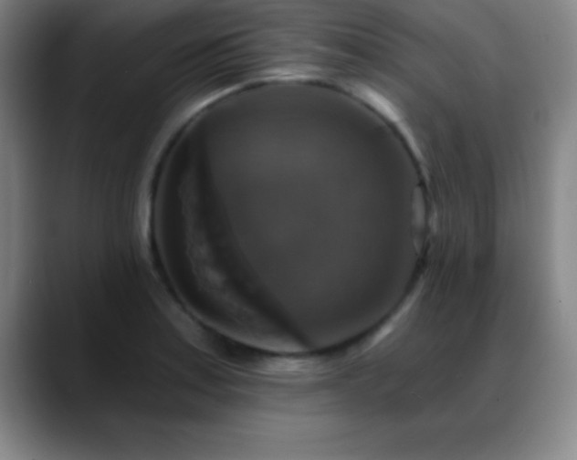 X0000088851179200706151712