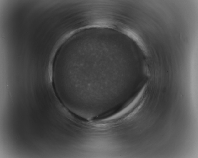 X0000088851180200706151712