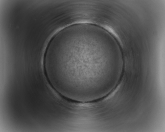X0000088851181200706151712