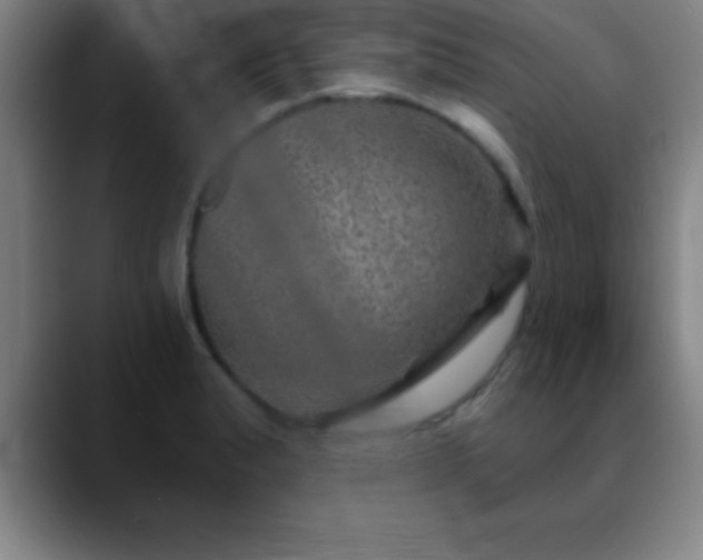 X0000088851183200706151712