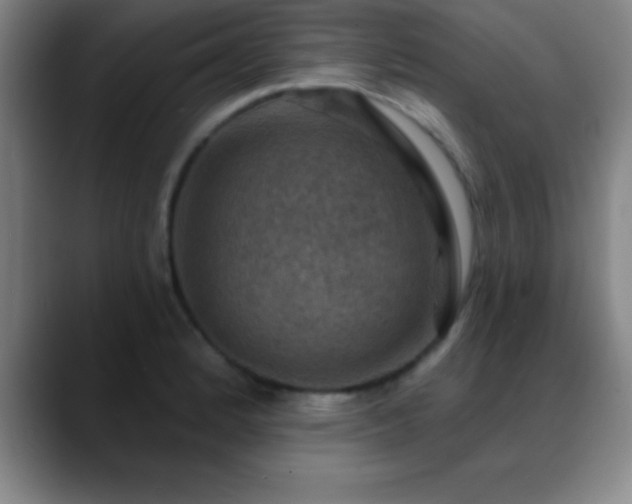 X0000088851184200706151712