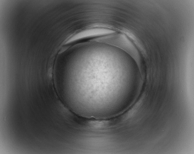 X0000088851185200706151712