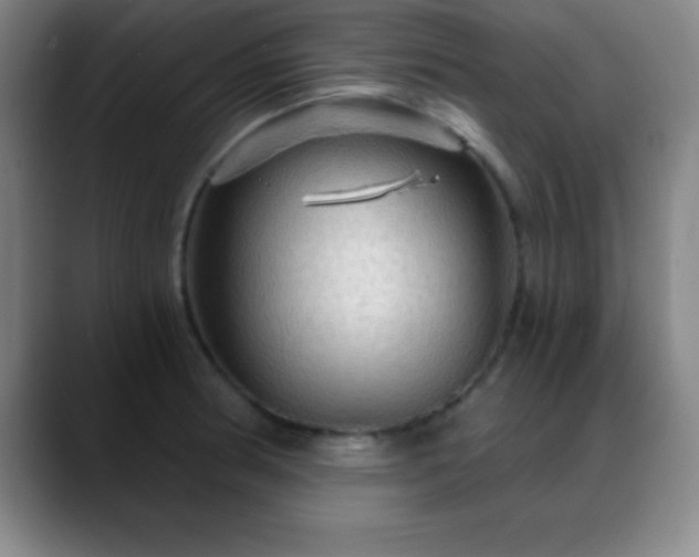 X0000088851186200706151712
