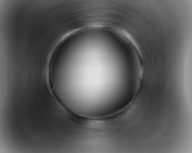 X0000088851187200706151712