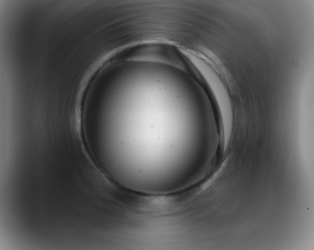 X0000088851188200706151712