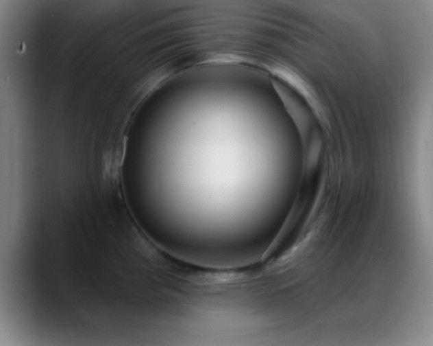 X0000088851193200706151712