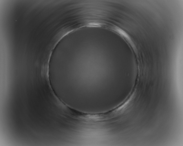 X0000088851194200706151712