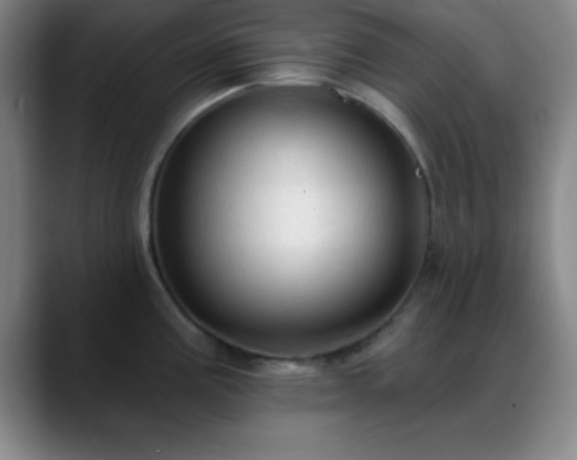 X0000088851195200706151712