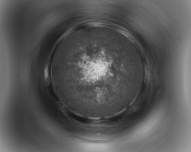 X0000088851198200706151711