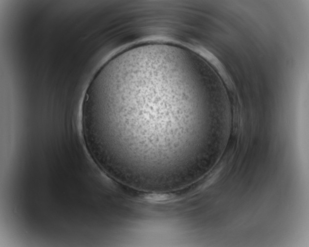 X0000088851199200706151711