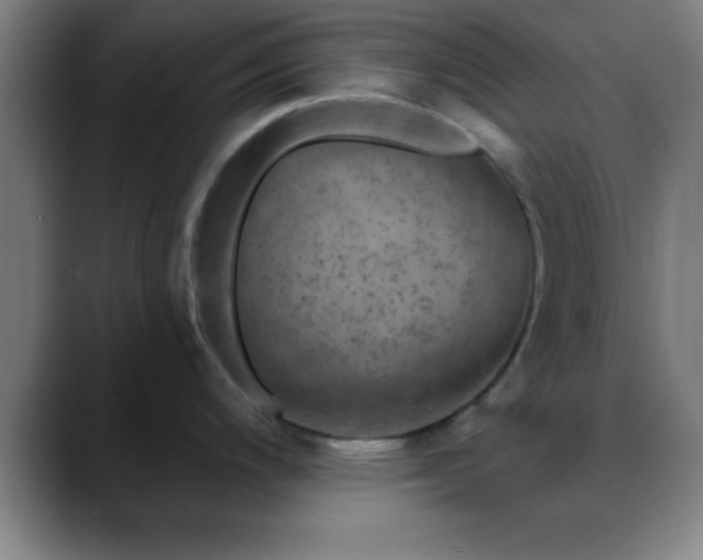 X0000088851200200706151711