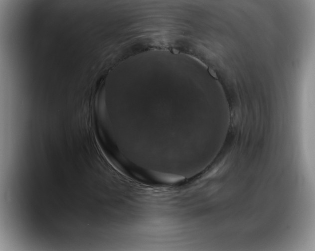 X0000088851202200706151711