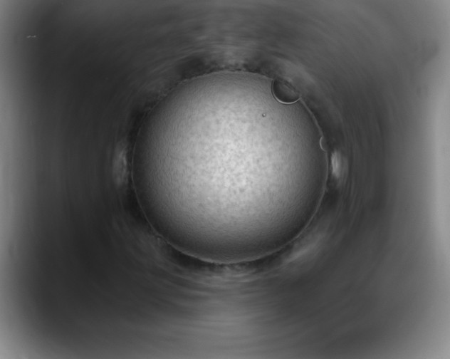 X0000088851203200706151711