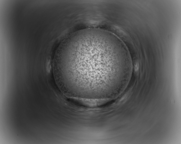 X0000088851204200706151711