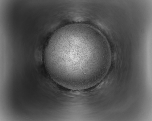 X0000088851205200706151711