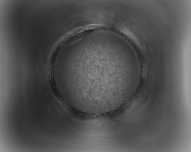 X0000088851208200706151711