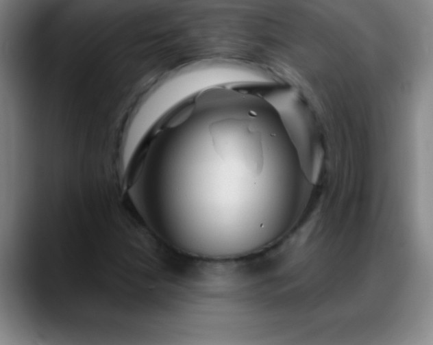 X0000088851210200706151711