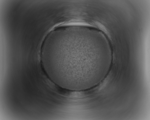 X0000088851212200706151711