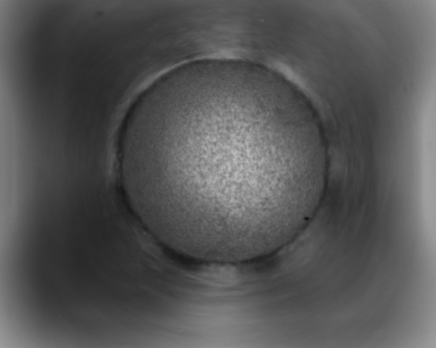 X0000088851215200706151711