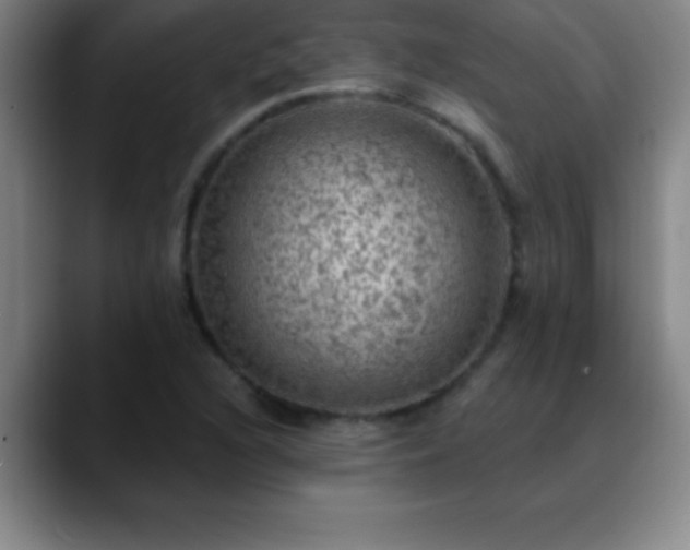 X0000088851216200706151711