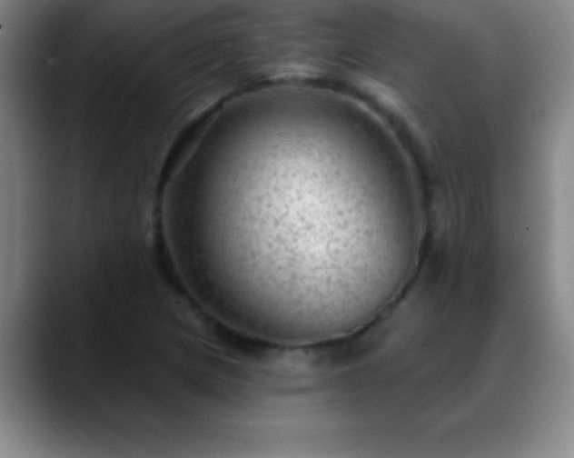 X0000088851217200706151711