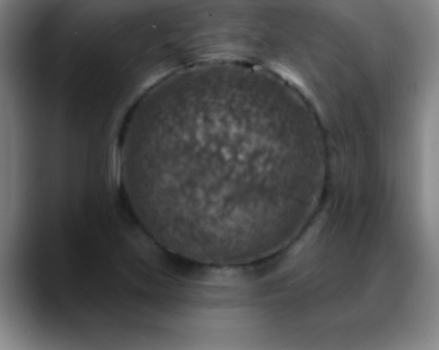 X0000088851219200706151711