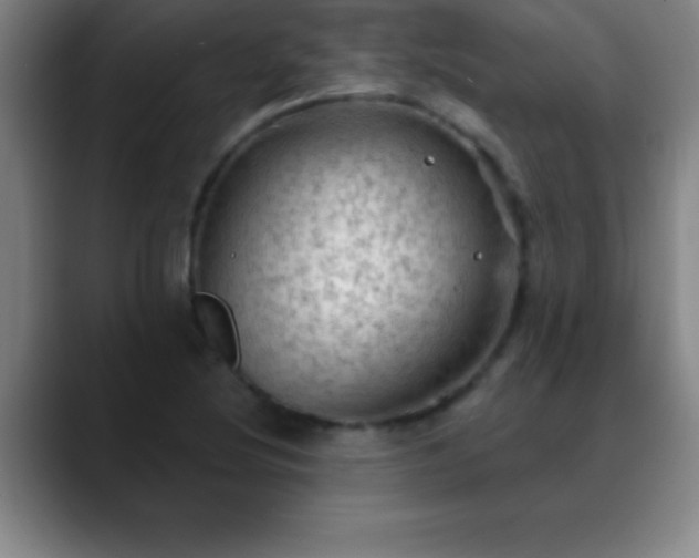 X0000088851220200706151711