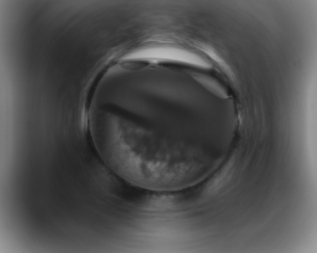 X0000088851221200706151711