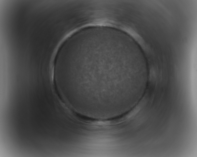 X0000088851224200706151711