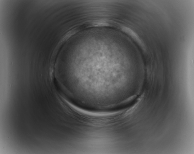 X0000088851225200706151711
