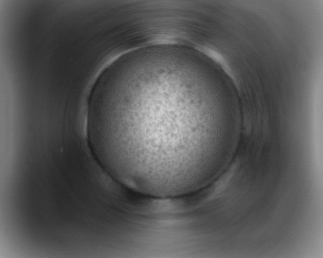 X0000088851227200706151711