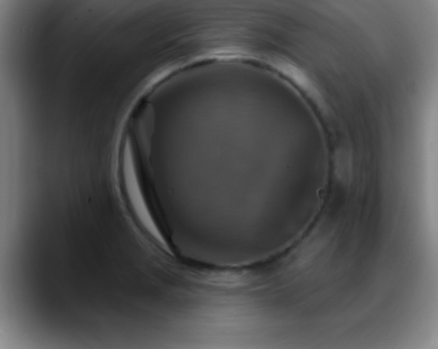 X0000088851229200706151711