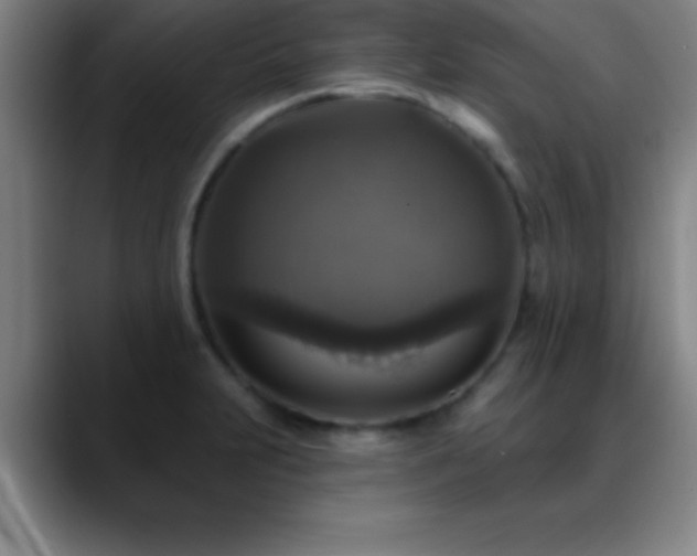 X0000088851231200706151711